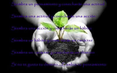 Cambié mi pensamiento…y mi destino cambió.