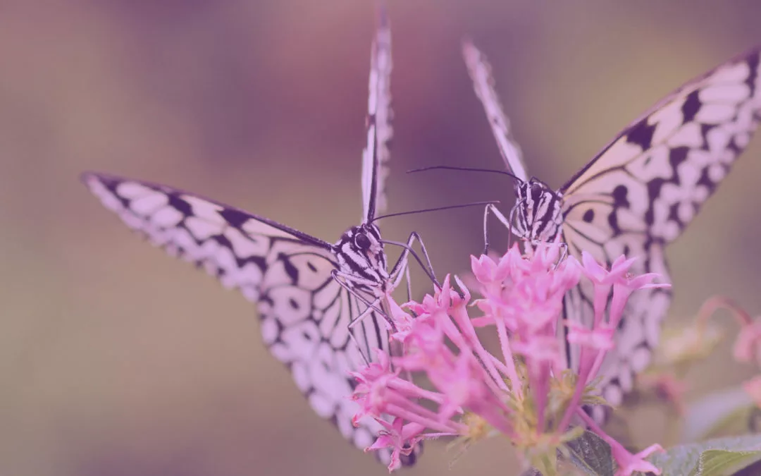 Cómo actuar ante una recaída de mi enfermedad – parte 2