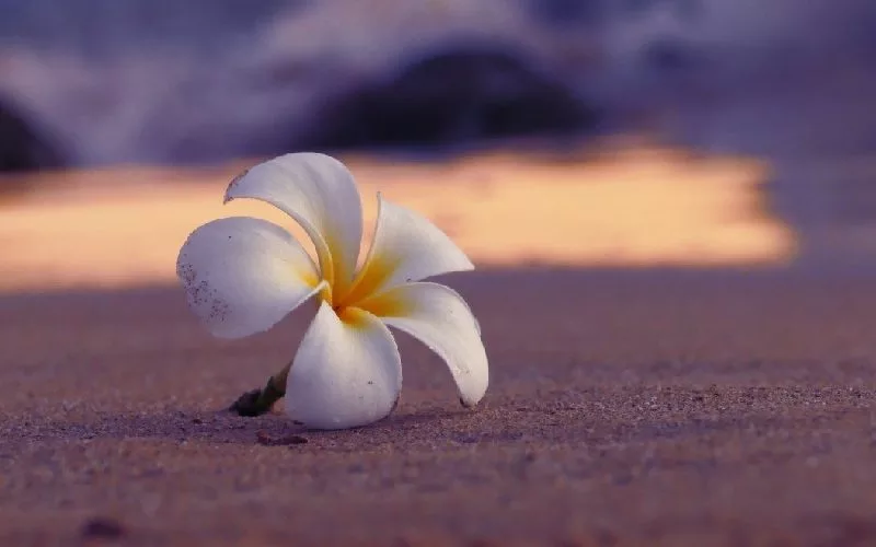 Gestionar la ansiedad ante pensamientos negativos